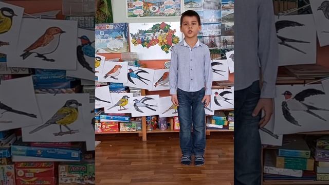 Стихи про птиц 5 группа смотреть онлайн