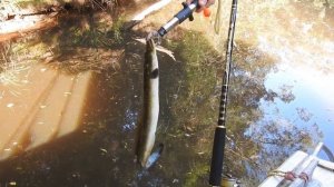 Кемпинг в лодке. Рыбалка.