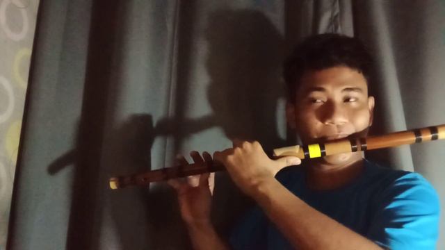 Drag me down - One Direction | Bamboo Flute Cover | Dizi Cover смотреть онлайн