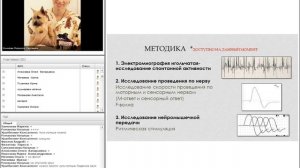 Новые пути диагностики "сложных" болезней нервной системы. Коникова Людмила #убвк_неврология
