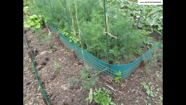 ВЫСОКИЕ ГРЯДКИ - это просто!!! Как с маленького ОГОРОДА собрать богатый урожай. смотреть онлайн