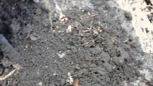 Идеальный грунт. Биогумус и производство грунтов на своем участке. Навоз надо перерабатывать. смотреть онлайн