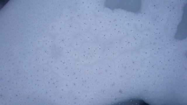 Красивые места Казахстана: озеро КОЛЬСАЙ и КАИНДЫ + ЧЕРНЫЙ КАНЬОН зимой. Что посмотреть в Алматы? смотреть онлайн