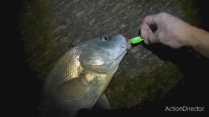 Рекордный горбыль на блесну с алиэкспресс. Карась на микроджиг. Рокфишинг на Чёрном море