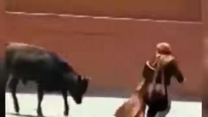 Большой бык наказал маленького Теодора!