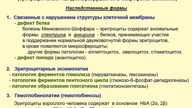 Лекция "Патология красной крови"