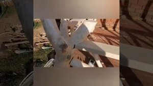 Беседка из цельного дерева своими руками