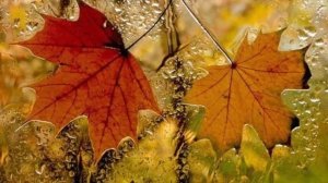 Скоро осень, господа ... (Александр Серёгин)