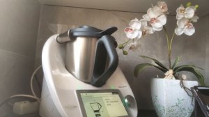 ТЕРМОМИКС ТМ 6 .МОЕ ВПЕЧАТЛЕНИЕ ГОД СПУСТЯ.