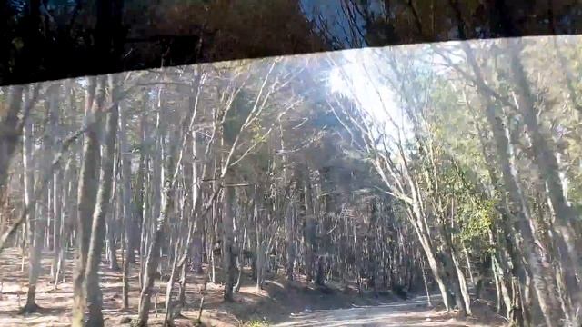 КРЫМ. ЯЛТА. СУПЕР ЭКСКУРСИЯ НА АЙ-ПЕТРИ смотреть онлайн