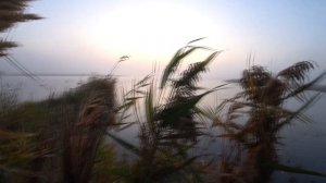 ОХОТА на УТОК #МЕГА ОХОТА#ЛУЧШАЯ ОХОТА 2019#УТОК МОРЕ КРЯКВА ЧИРОК