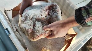 Кубанский окорок. Часть вторая.