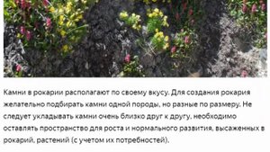 Чем отличается рокарий от альпийской горки Создание рокария на садовом участке