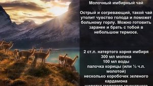 3 рецепта имбирного чая:  сжигает калории, лечит простуду, тонизирует организм