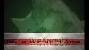 Шамхан Далдаев  Toлькo там, где я родился!