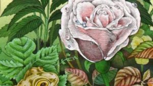 СКАЗКА О ЖАБЕ И РОЗЕ Всеволод Гаршин