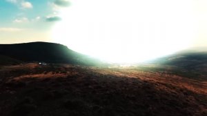 Чернобыль. Что скрывает рыжий лес ?