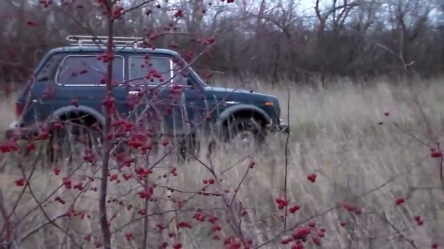 Ноябрь Дикие ранетки смотреть онлайн