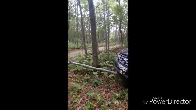 Lexus Gx460 - на бездорожье #vnedorozhniki_dv#4×4