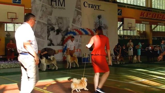 ОРЛОВИЯ-2016, BIG 5 группа смотреть онлайн