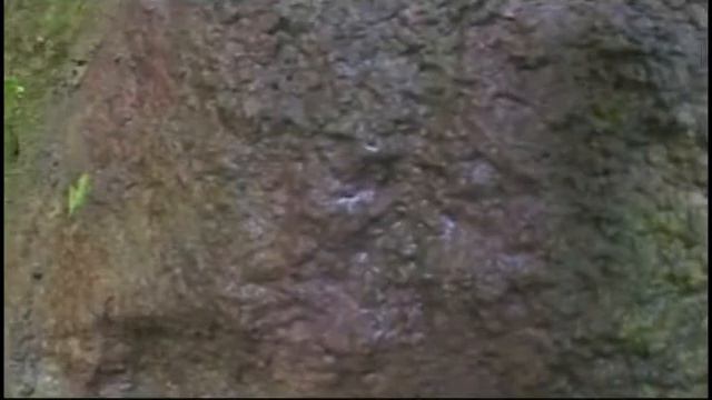 Города побратимы смотреть онлайн