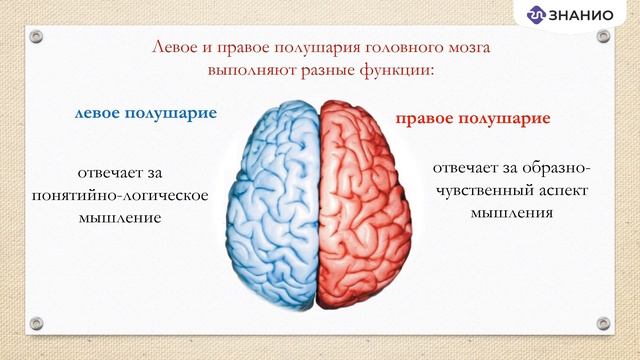 Гендерная педагогика как эффективный путь социализации и повышения качества обучения