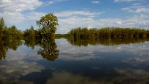 Ветерок 12 на лодке пвх 340