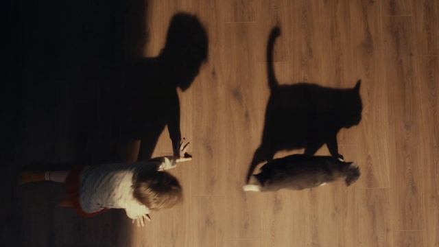 Брусника. В жизни всегда есть место свету смотреть онлайн