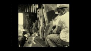 Что произошло с селом?