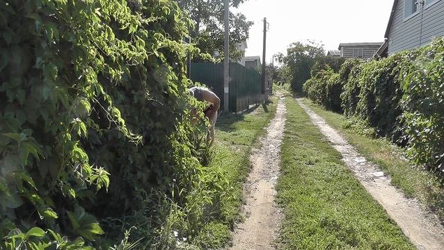 Варваровка 24