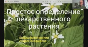 Простое определение лекарственного растения