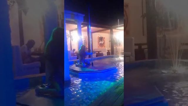 Классный танец на питоне смотреть онлайн