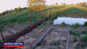 Вольер-загон для гусей. С прудом. Своими руками)