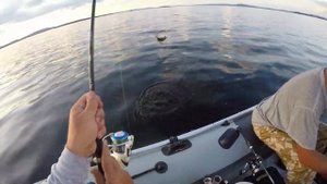 Карелия Пяозеро рыбалка 2019