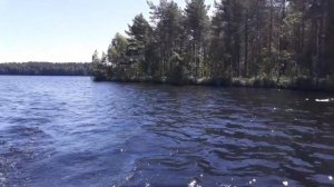 Тестовый заплыв по озеру на лодке ПВХ с электромотором Promarine