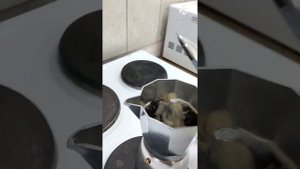 Кофеварка гейзерного типа ITALCO soft