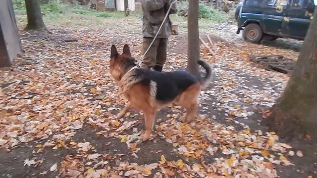 Олимп (Верный) смотреть онлайн