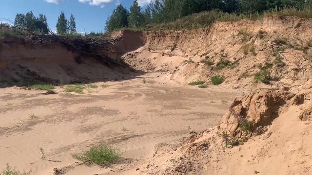 Альфа Доберман 550 под полнотел. Часть 3. Злой добер.Из добермана в питбуля. смотреть онлайн