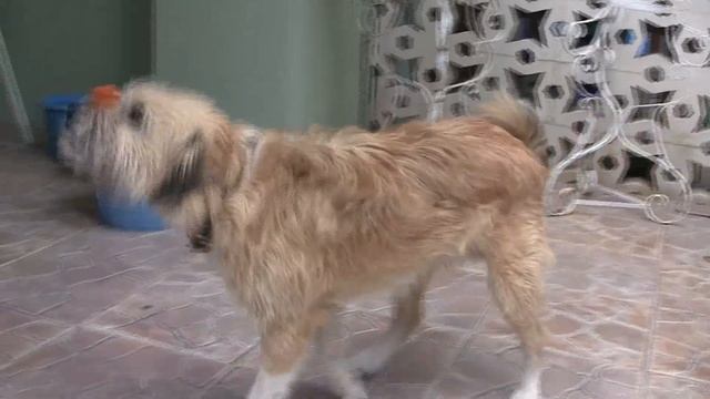 Canon legria hf s100 смотреть онлайн