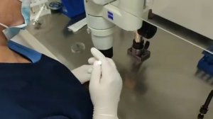 Подсадка эмбриона 5 дня хорошего качества 4 АВ