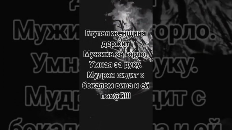 4 октября 2023 г.