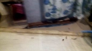 Как быстро почистить клюкву от лесного мусора