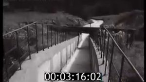 Город Зеленоград (история)