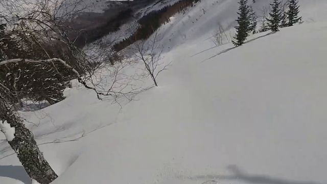 Даван "Софийский спот" Freeride Snowboard 2021