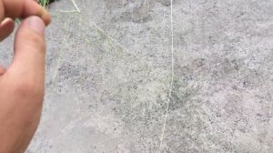 Капроновая сеть ячея 70.