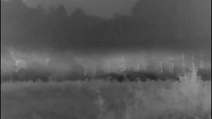 Охотник в тумане. Когда любой ночник уже точно не видит. Pulsar Helion 2 XQ50F Тепловизор в туман.