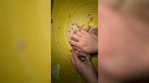 Бородинский хлеб. Черный хлеб в духовке без заквасок и сложностей) Легко и просто