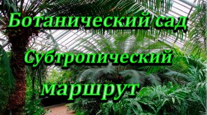 Субтропический маршрут.Ботанический сад Петра Великого