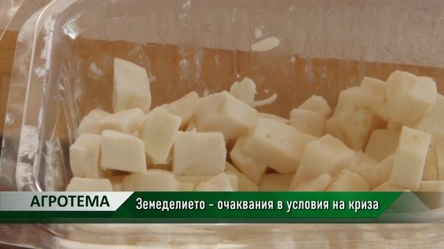 Агротема: Земеделието - очаквания в условия на криза, автор: Камелия Карадочева смотреть онлайн
