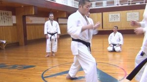 Seminar Sasaki Toshiatsu (2019)